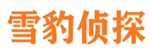 宝应调查公司